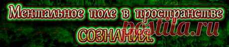 Ментальное поле в пространстве сознания. Каждое индивидуальное ментальное поле окружено пространством, которое было организованно природой и в своей структуре является носителем ее законов.