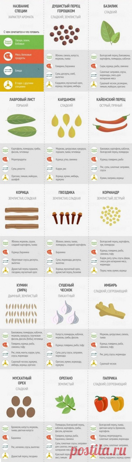 Как правильно использовать специи. На заметку