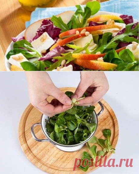 Мастер-класс «Зеленый салат с мягким сыром и грушами» - Интересный блог