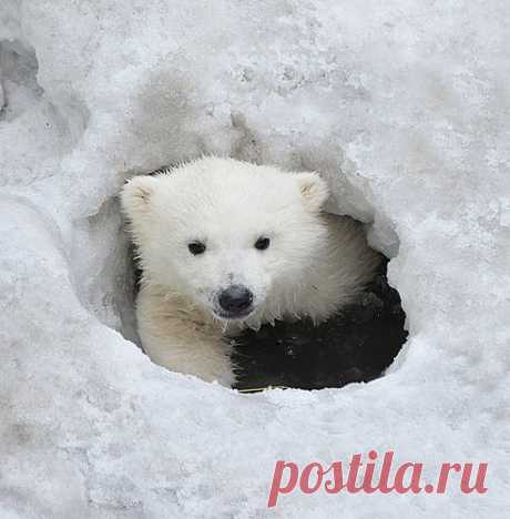 eliza-lebedewa — «Привет!» на Яндекс.Фотках