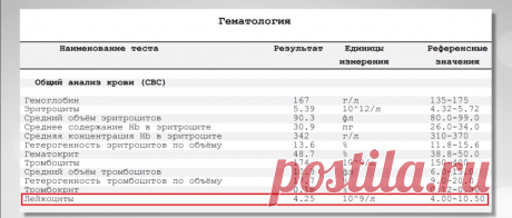 Что действительно укрепляет иммунитет? Основные правила, чтобы перестать &quot;шмыгать носом&quot; | Жизнь без боли | Яндекс Дзен