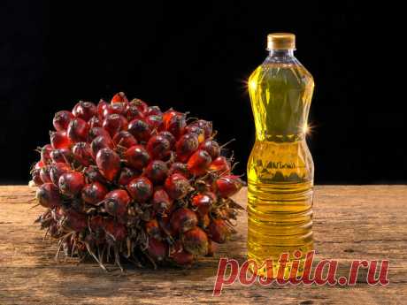 Продукты с пальмовым маслом, которые никогда нельзя есть Рассказываем, чем опасно пальмовое масло и каких продуктов с его содержанием лучше избегать.
