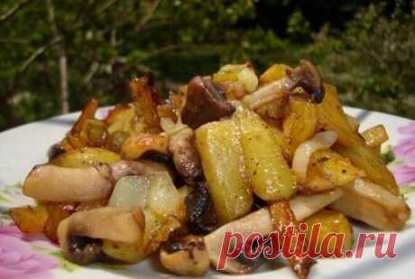 Жареная картошка с грибами / Простые рецепты