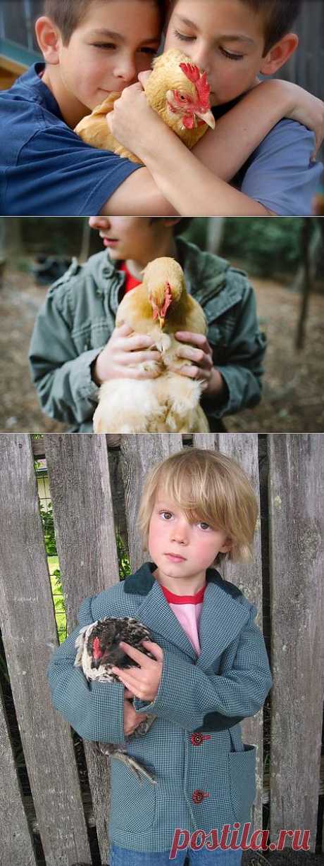 16 очаровательных фотографий детей и их домашних кур | Живой фотоблог