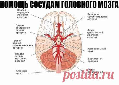 ПОМОЩЬ СОСУДАМ ГОЛОВНОГО МОЗГА | Вкусные рецептики