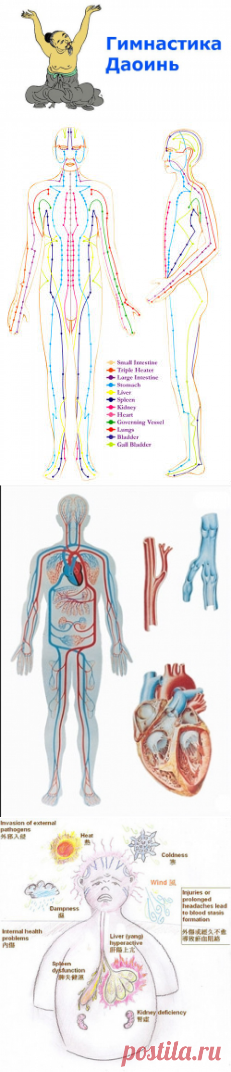 Гимнастика Дао-инь — Самый Простой Способ Быстрого Восстановления Здоровья В Любом Возрасте |