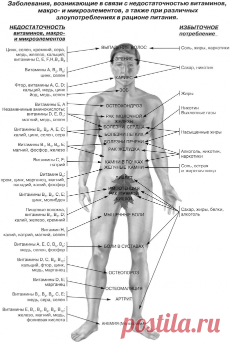 Заболевания, возникающие в связи с недостатком витаминов | thePO.ST
