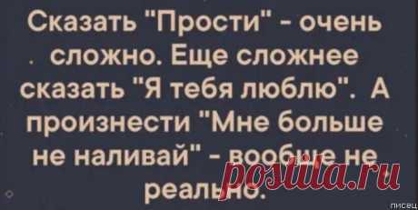 20 шикарнейших цитат, которые действительно в точку! / Писец - приколы интернета