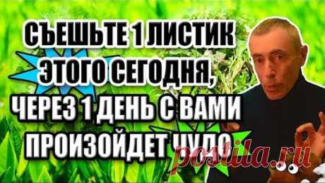 СЪЕШЬТЕ 1 ЛИСТИК СЕГОДНЯ! ЧЕРЕЗ 1 ДЕНЬ С ВАМИ ПРОИЗОЙДЕТ ЧУДО! Сельдерей, полынь, лавровый лист.