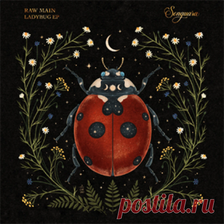 Raw Main - Ladybug | download mp3