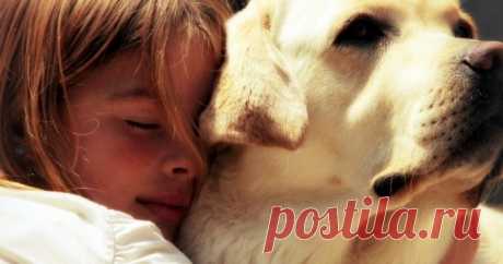 Как отучить дочку от «Папа купи собаку» - жизненный пример силы духа