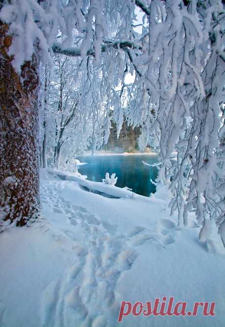 coiour-my-world:
“Winter in Finland
”
♡♡♡