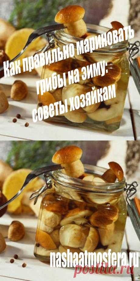 Как правильно мариновать грибы на зиму: советы хозяйкам - nashaatmosfera.ru