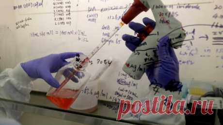 Ученые из ФРГ обнаружили фермент, от которого зависит распространение коронавируса - Новости Mail.ru