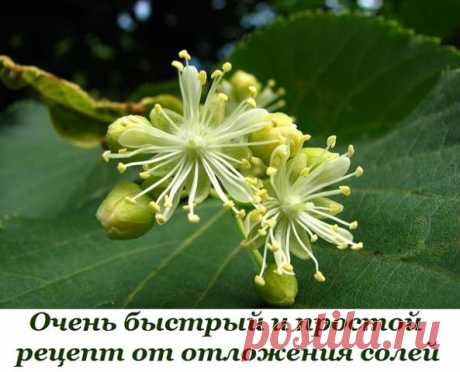 Очень быстрый, простой и приятный рецепт от отложения солей.