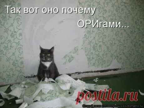 Котоматрица свежая и прикольная (29 фото) . Тут забавно !!!