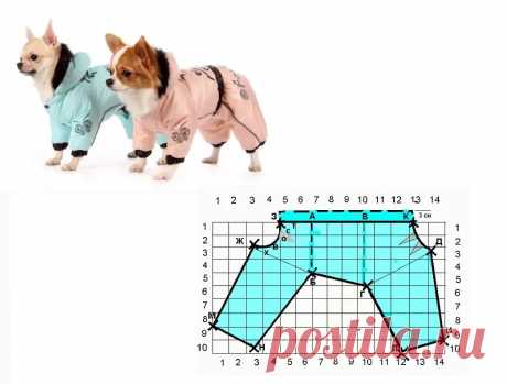 Выкройка комбинезона для собаки девочки цвергпинчера: 2 тыс изображений найдено в Яндекс.Картинках