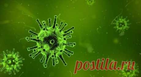 Прополис вместо антибиотиков: легкий способ борьбы с разными заболеваниями!