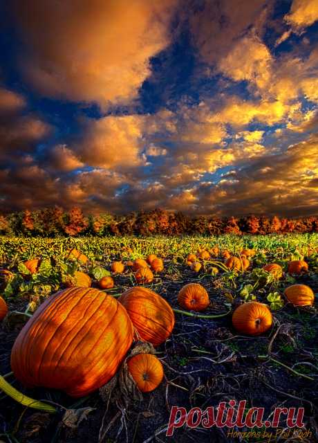 ““Pumpkin Crossing”