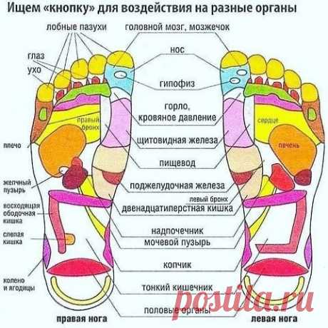 uZlMR5Y2vYw.jpg (480×480)