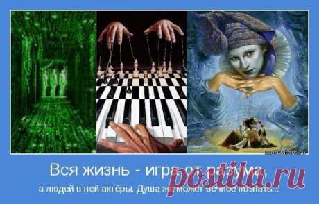 Верх ума назовут безумием, как и крайнюю его тупость. Только посредственность всегда в похвале у людей.