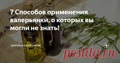 7 Способов применения валерьянки, о которых вы могли не знать! #дома не скучно
Наша редакция моет руки и сидит по домам, а вы?
Валериану используют еще с древности как хорошее успокоительное средство при неврозах, стрессах и сердечных расстройствах. Но на самом деле спектр ее применения несколько шире. Из корней растения изготовляют эфирное масло, которые используется в косметических и лечебных целях.
Ароматическое масло валерианы имеет насыщенный оттенок от