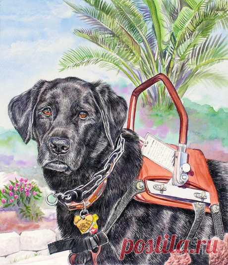 Labrador Retriever Service Dog by Gail Dolphin Labrador Retriever Service Dog Painting by Gail Dolphin