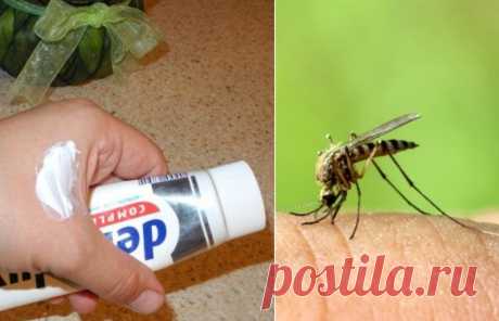 Как спастись от комаров без синтетических репеллентов: 7 средств, которые есть в каждом доме