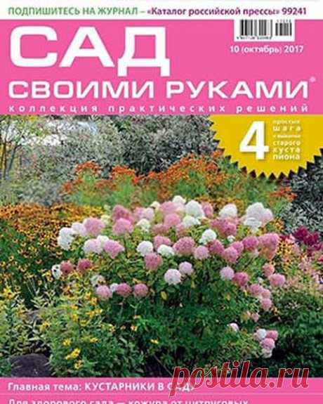 Сад своими руками (№10 октябрь 2017) Читать и скачать журналы онлайн