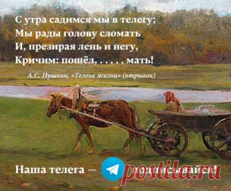 Учёные рассказали о повышающих риск рака кишечника продуктах — РТ на русском