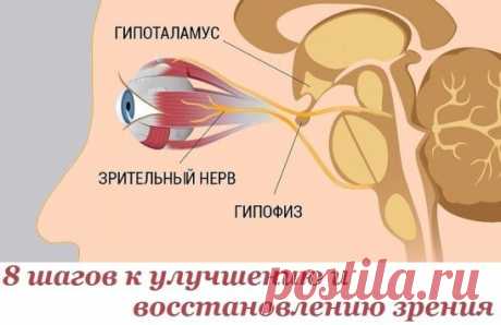 8 шагов к улучшению и восстановлению зрения. Работает, даже если ты носишь очки!