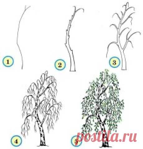 Как рисовать деревья. Простые схемы для малышей и их родителей. Сохраните подборку в своей ленте, чтобы не потерять. Для этого нажмите "поделиться"