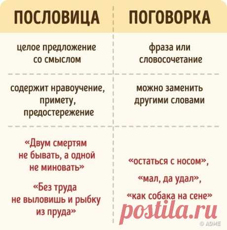 ​Как перестать путаться в 10 простейших вещах