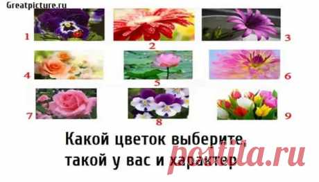 (47) Какой цветок выберите, такой у вас и характер - Все самое интересное в мире - 7 апреля - 43557100685 - Медиаплатформа МирТесен