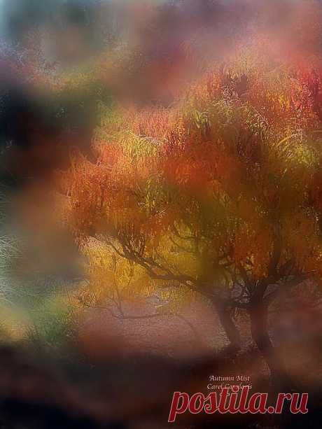 Autumn Mist Mixed Media by Carol Cavalaris - Autumn Mist Fine Art Prints and Posters for Sale