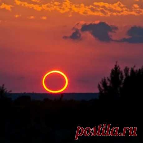 Затме-е-е-е-ение.Некоторые впечатляющие фотографии кольцеобразного затмения на spaceweather.com