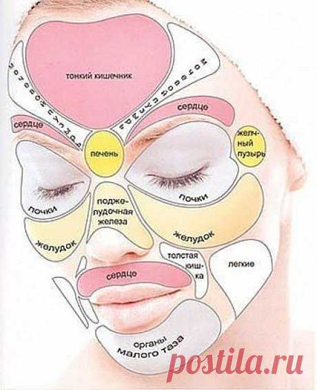 По местоположению прыщей определяем наши проблемы со здоровьем.