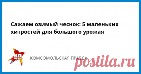 Сажаем озимый чеснок: 5 маленьких хитростей для большого урожая