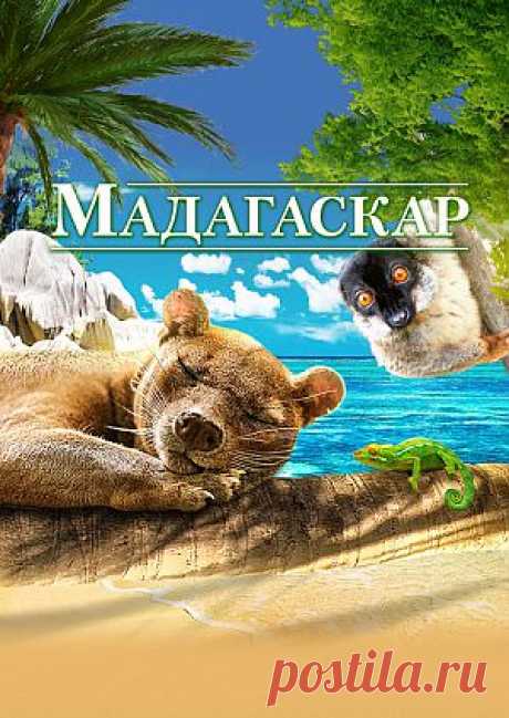 Фильм &quot;Мадагаскар&quot; (&quot;Madagascar&quot;) - смотреть легально и бесплатно онлайн на MEGOGO.NET