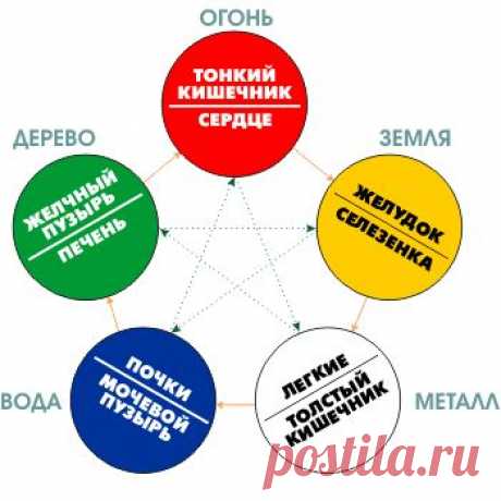 2010 год белого металлического Тигра: гороскоп на 2010 год Тигра для всех знаков зодиака