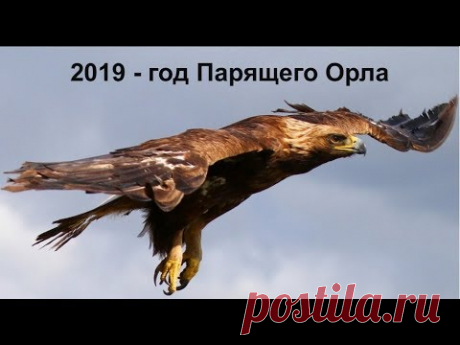 2019 - год Парящего Орла по старославянскому календарю.