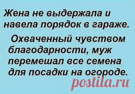 17 уморительных историй, которые точно заставят вас хохотать