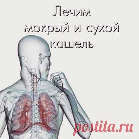 Кашель – рефлекс, направленный на устранение из дыхательных путей пыли, инородных тел и слизи. Это ... Всё о здоровье: Кашель – рефлекс, направленный на устранение из дыхательных путей пыли, инородных тел и слизи. Это ...