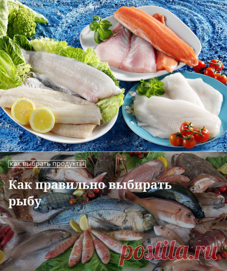 Как правильно выбрать рыбу?