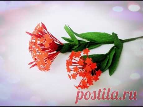 How To Make Ixora Coccinea Paper Flower - Craft Tutorial