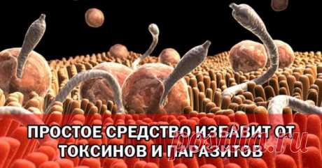 Знаете ли вы, что наш организм имеет около 15 кг токсинов? Вот как избавиться от них и не только… Смотрите! | Naget.Ru