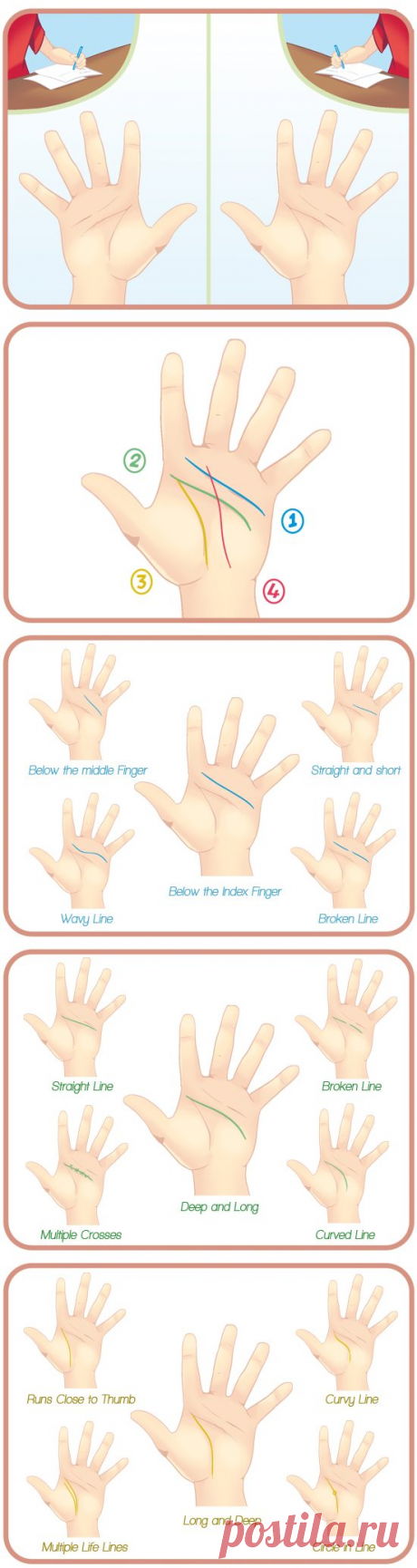 Как читать линии на руках? / Мистика