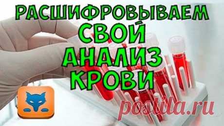 КАК РАСШИФРОВАТЬ СВОЙ АНАЛИЗ КРОВИ? ОТВЕТ ЕСТЬ!