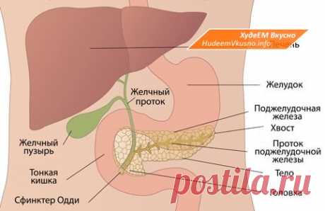 НАРОДНЫЕ СРЕДСТВА ДЛЯ ЛЕЧЕНИЯ ПОДЖЕЛУДОЧНОЙ ЖЕЛЕЗЫ | Худеем Вкусно