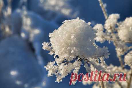 Снег пушистый. Ком из снежинок и иголок инея. Автор фото - Юрий Пашков.